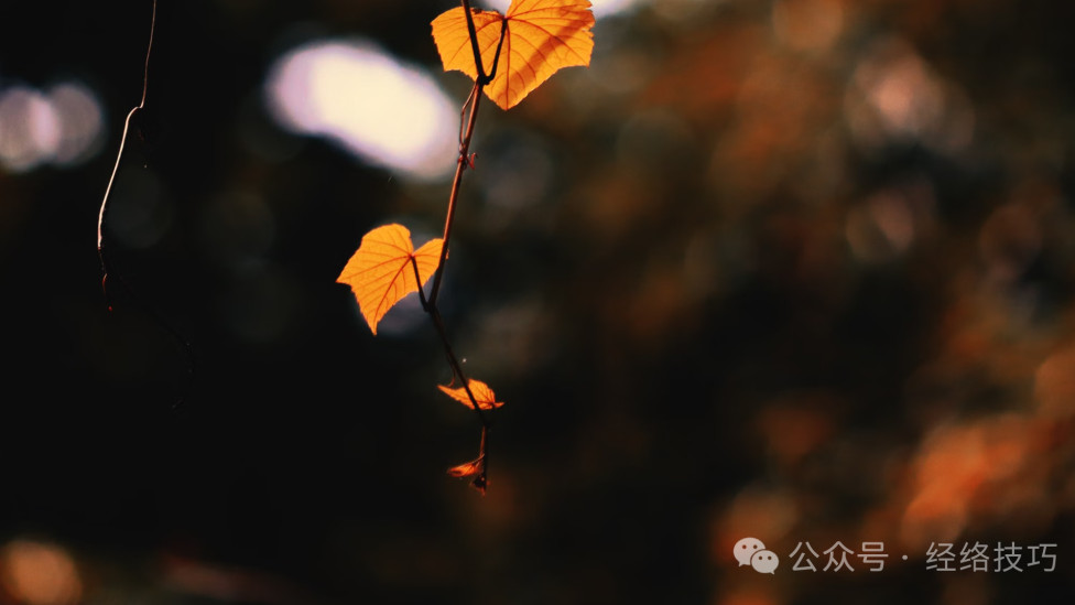 睡前趴着 “踢腿” 200 下，坚持大半个月，裤子臀部那居然不空了，假胯宽也没那么明显了