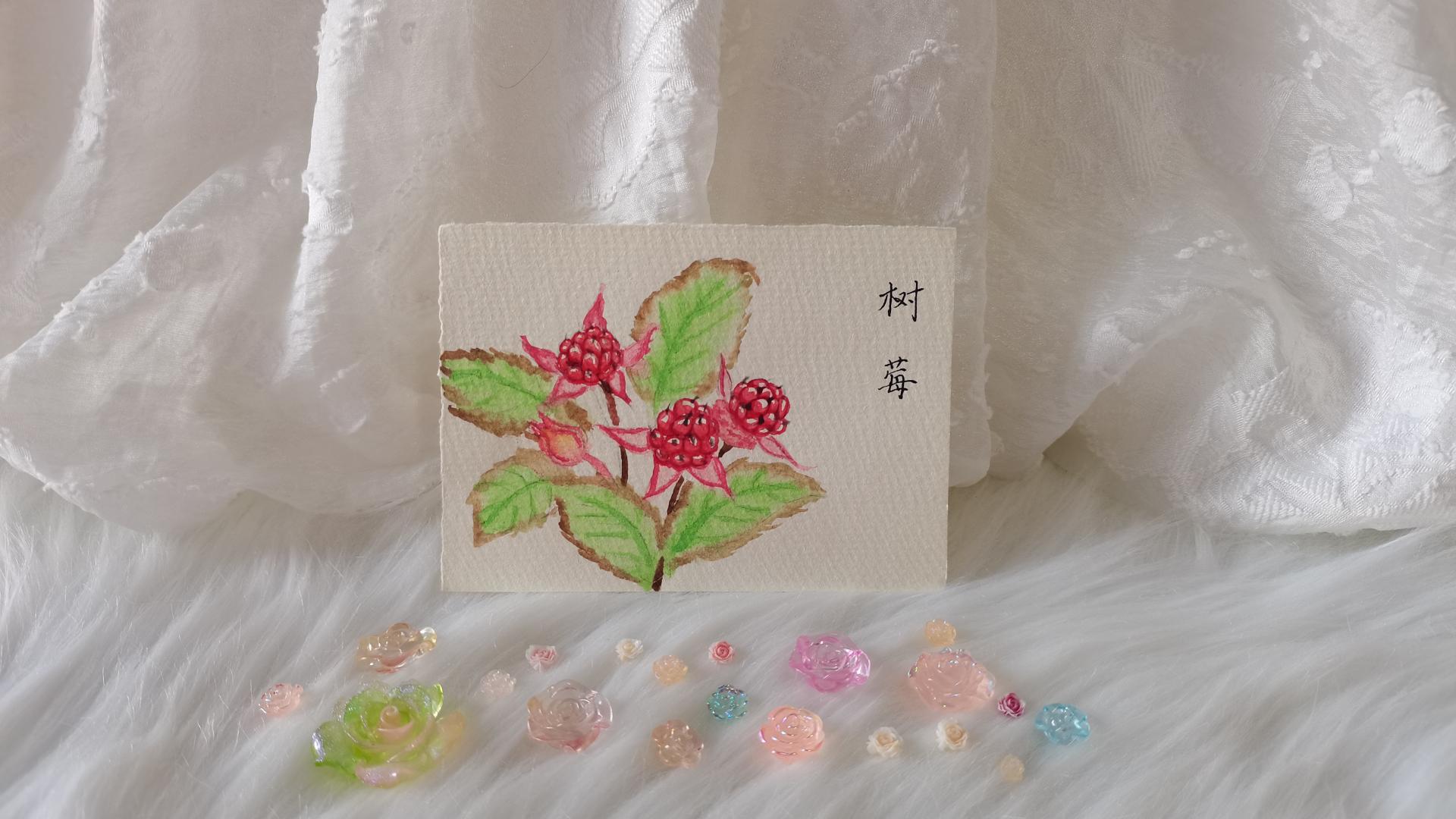 04 水彩树莓（果花甘09）