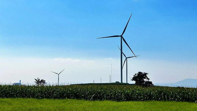 凡是把孩子扔给公婆父母和保姆带自己上班的宝妈，妈妈显年轻，孩子听话；而一心带孩子全职宝妈，易显老还被