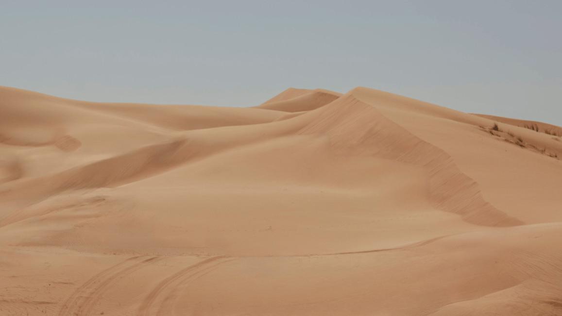 沙迦大学新创举：沙漠沙变身环保建筑砖材