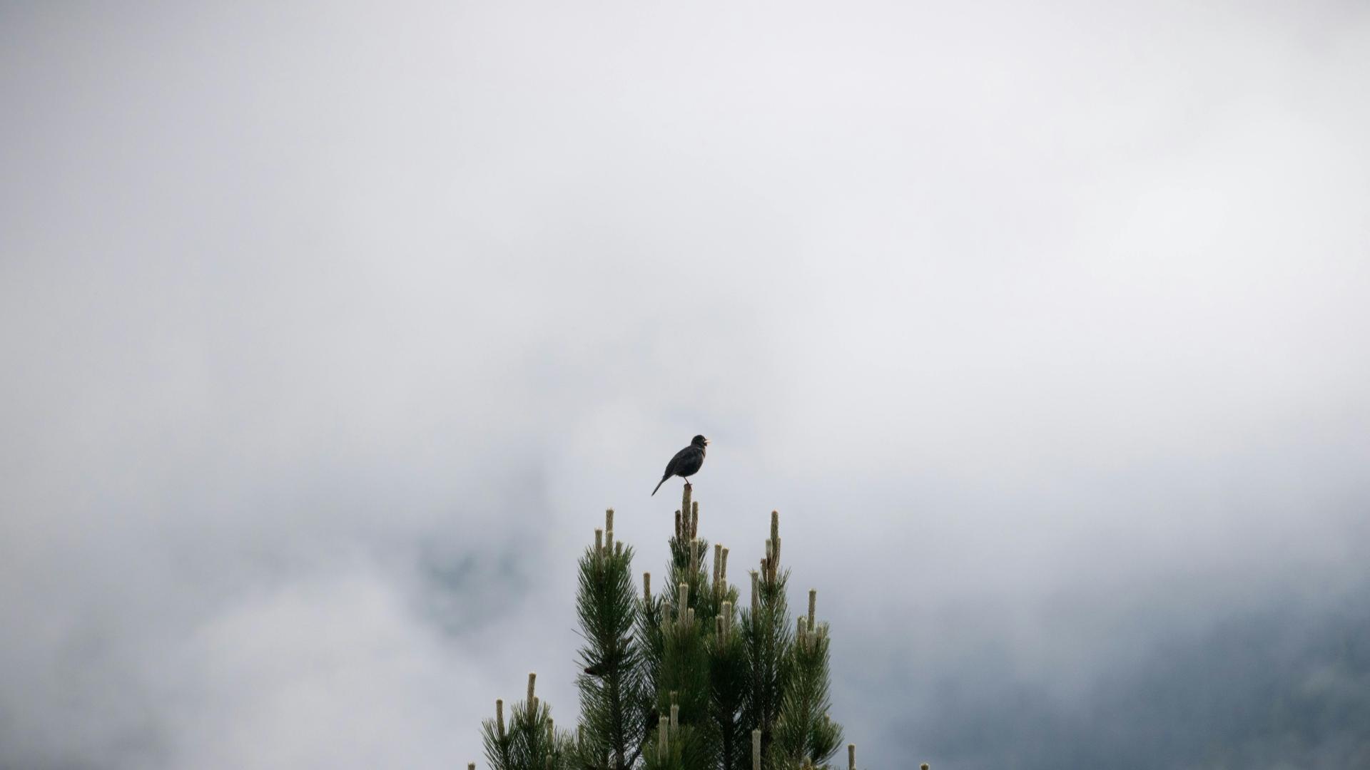 青岛安遇：3招，让你成功挽回失望累积型分手！