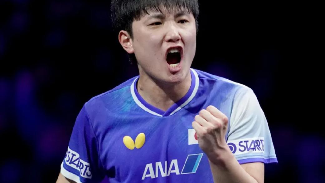 新年首败！张本智和3-0横扫国乒新星，多哈赛场警钟敲响：日乒集团优势来袭！