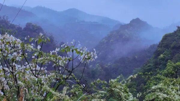 “天胎”之育：一位隐士给中国职校开出的“天才孵化”良方