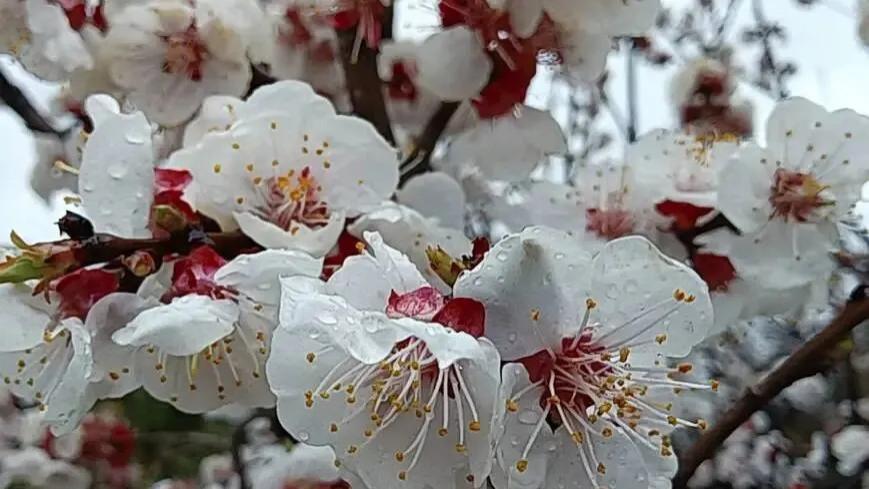 随笔：过自己的人间烟火，做自己的诗和远方