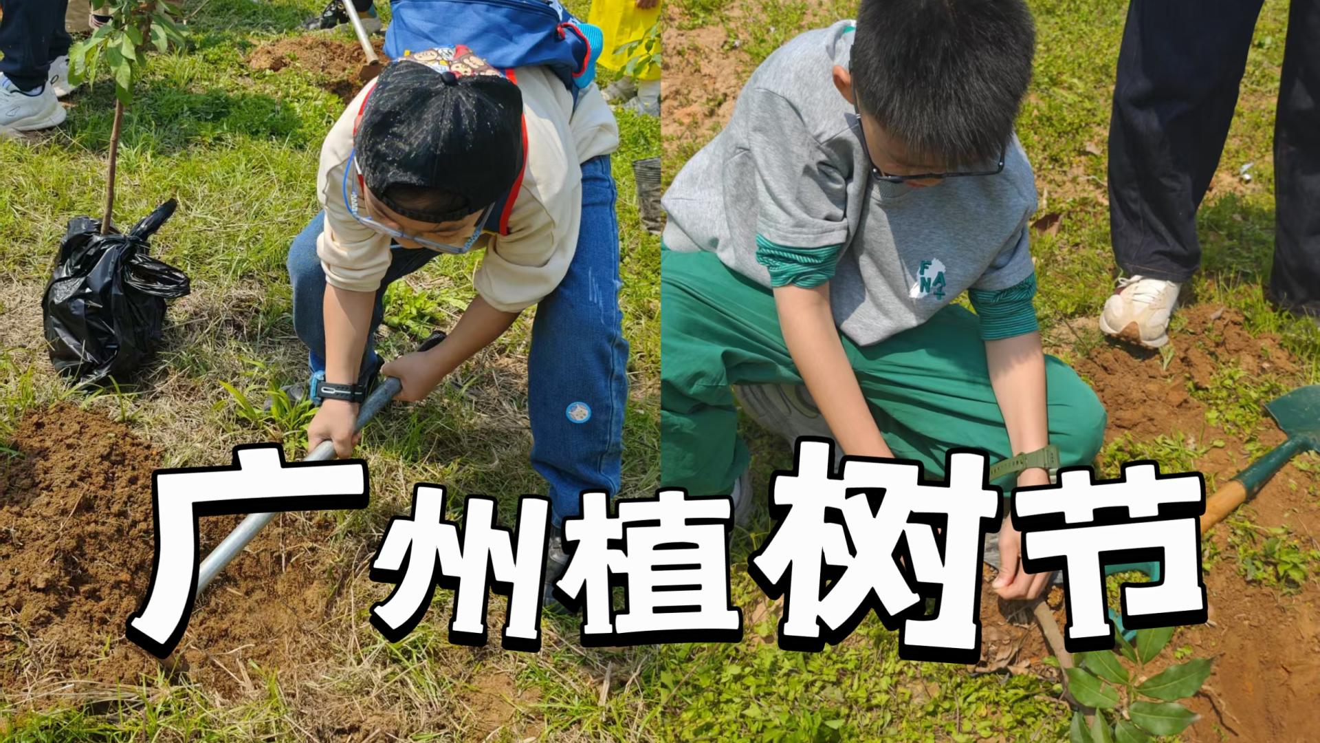 广州植树节｜种下春天，收获成长！亲子 / 团建植树攻略来啦
