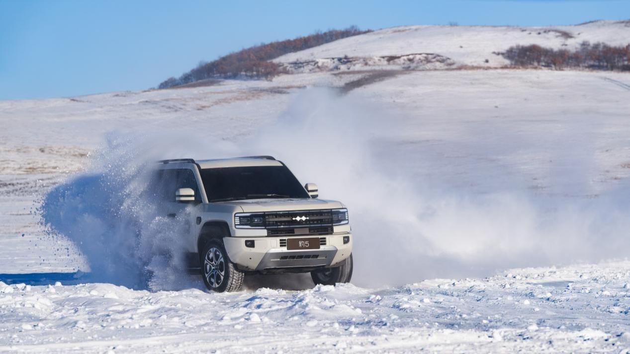 “姚十八”侵权比亚迪方程豹案判决，支付赔偿款等共计 201 万元