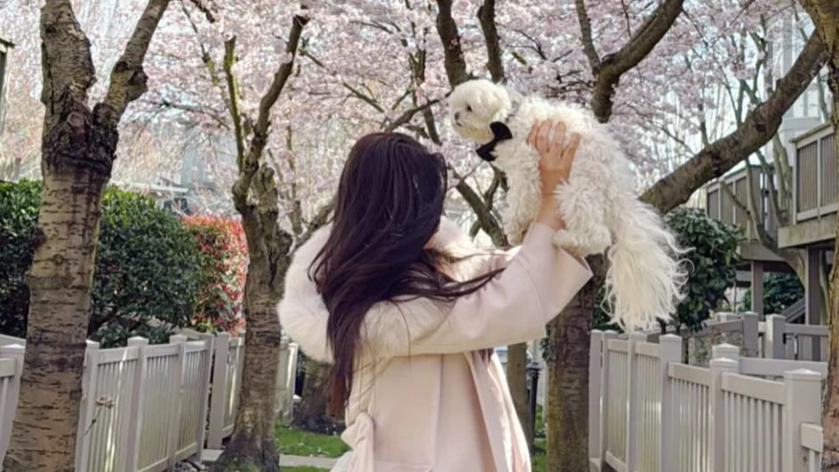 王祖贤抱爱犬赏花，粉裙黑发好温柔，背影清冷气质佳