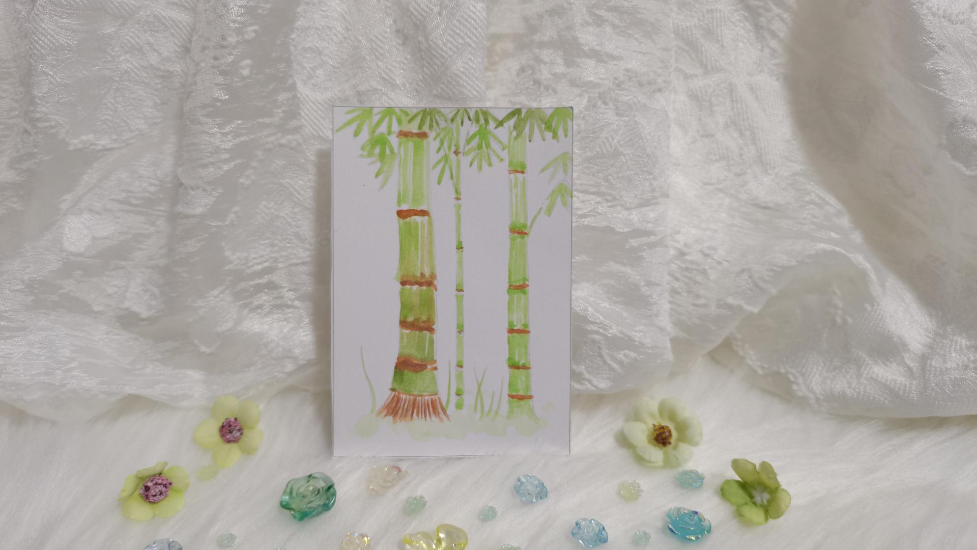 51 竹子（绘画 水彩 果花甘06）