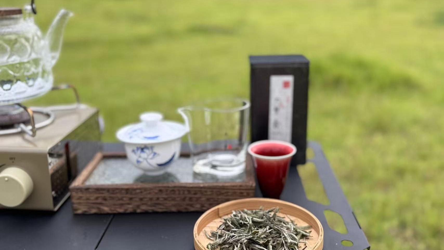 老白茶不好喝，是因为在尴尬期？老茶客：别被忽悠了！