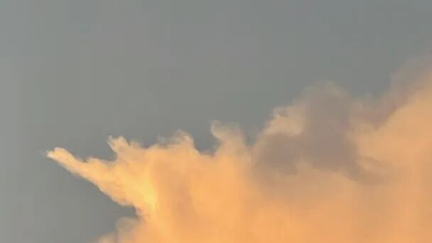 论文绪论写什么内容？绪论写作思路整理