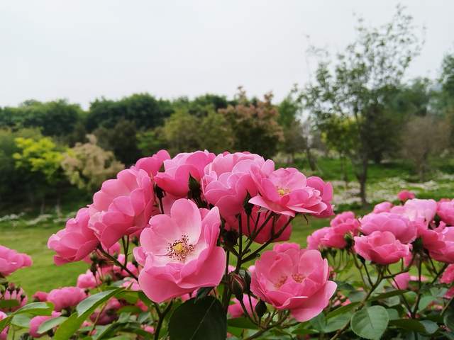 允许青春期孩子生气发脾气：接纳情绪，比讲一百句道理更走心