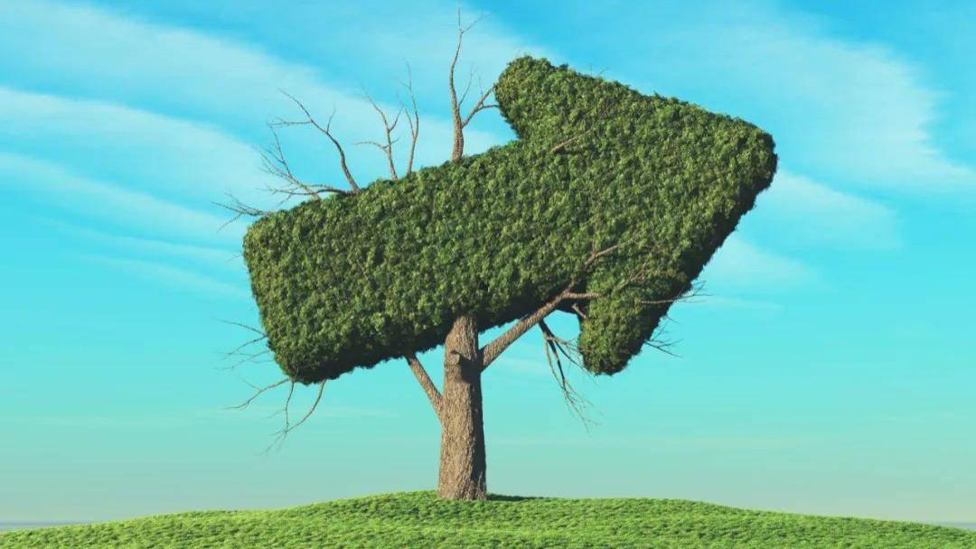 中小银行密集选择“可转债转股”补充资本：他们是如何“转股成金”的？