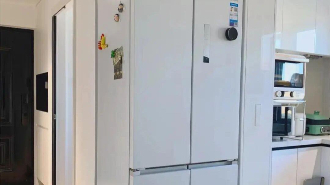 冰箱不放厨房放在哪呢？参观完他们的家，后悔没早点知道