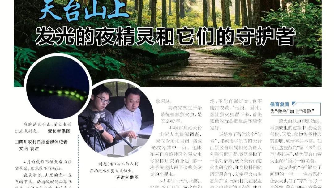 媒体关注 | 《四川农村日报》关注邛崃：天台山上 发光的夜精灵和它们的守护者