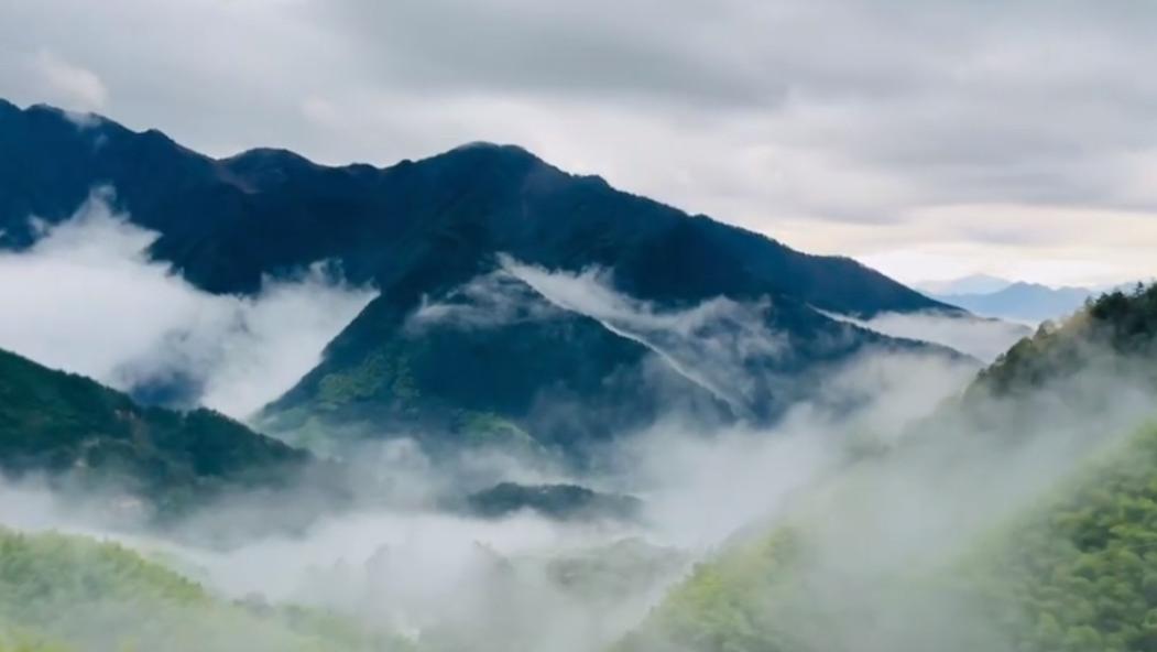 【原创】2024年谷雨