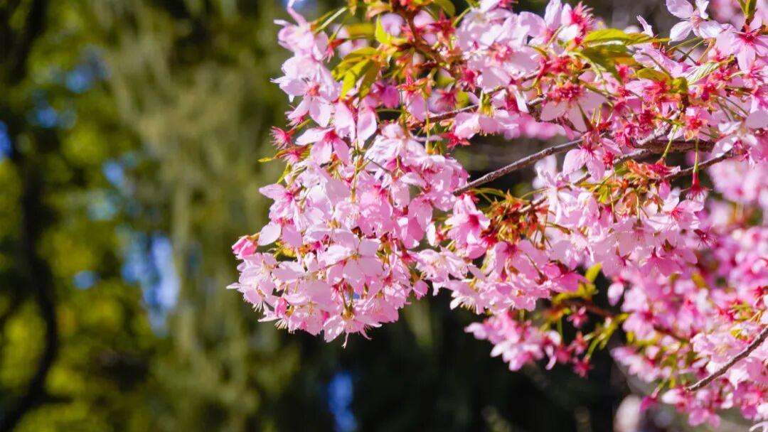 春属木，与肝相应