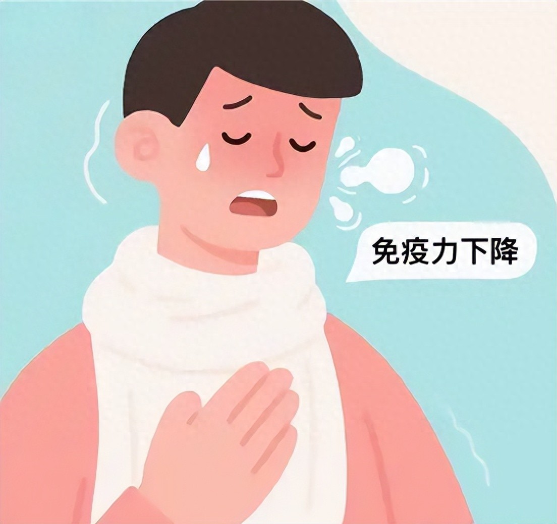 蛋白粉哪个牌子纯度高？蛋白粉品牌，纯度对比一目了然