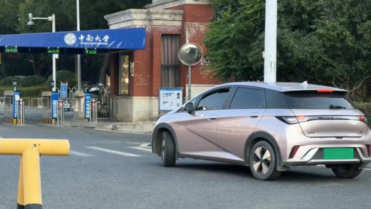 大学老师为何都选择了比亚迪