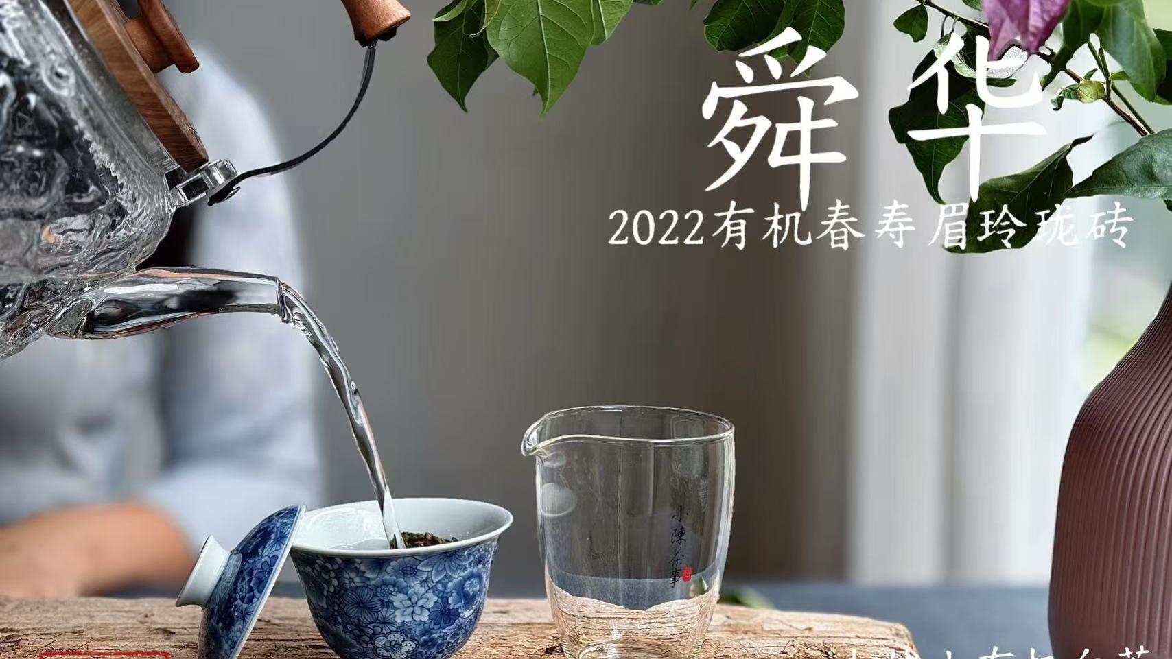 老白茶的3种主流喝法，新手直接照搬，能少走很多弯路！