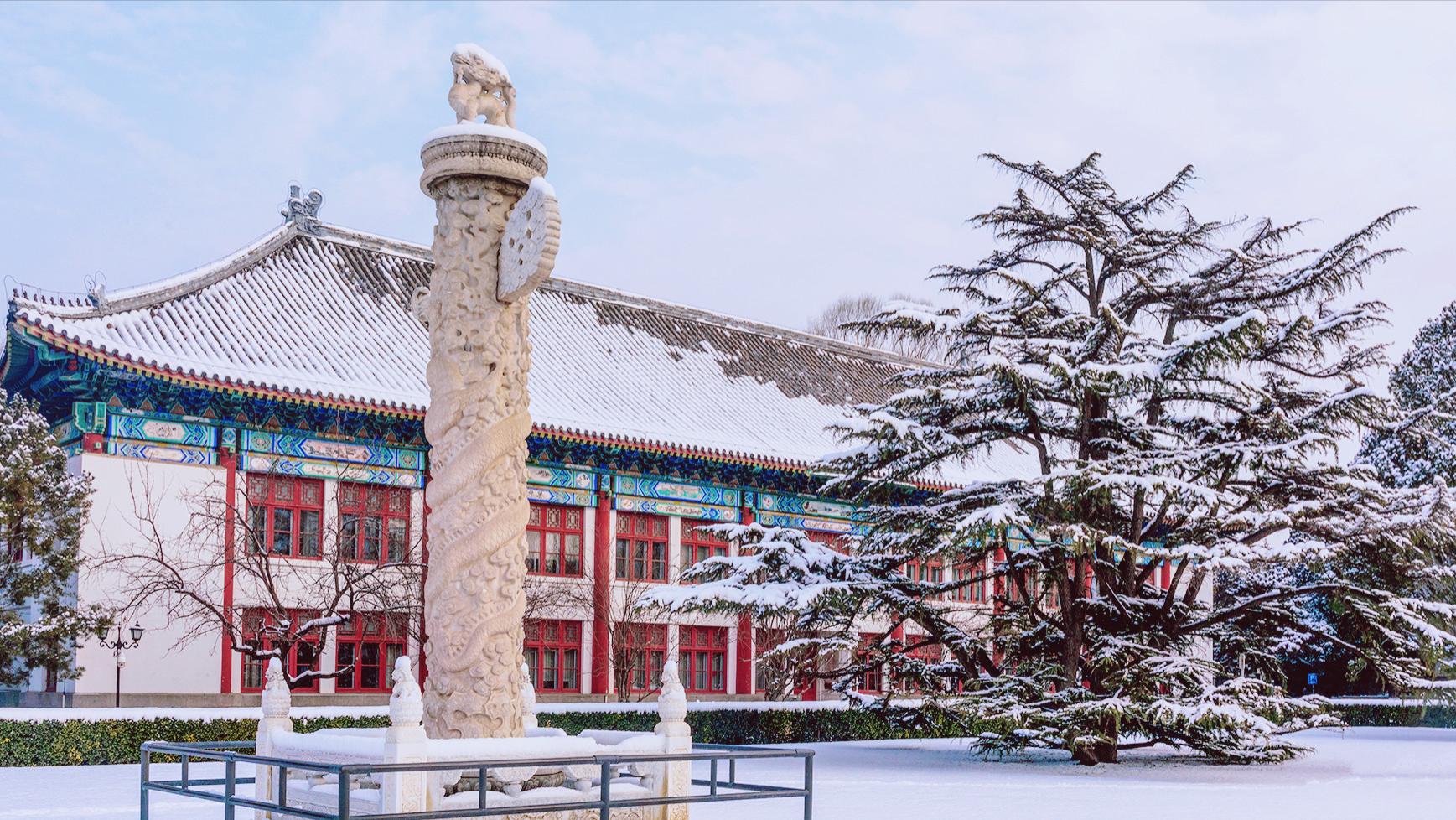 清北vsC9应届月薪全拆解：顶薪几乎一样，真正的差距藏在底部