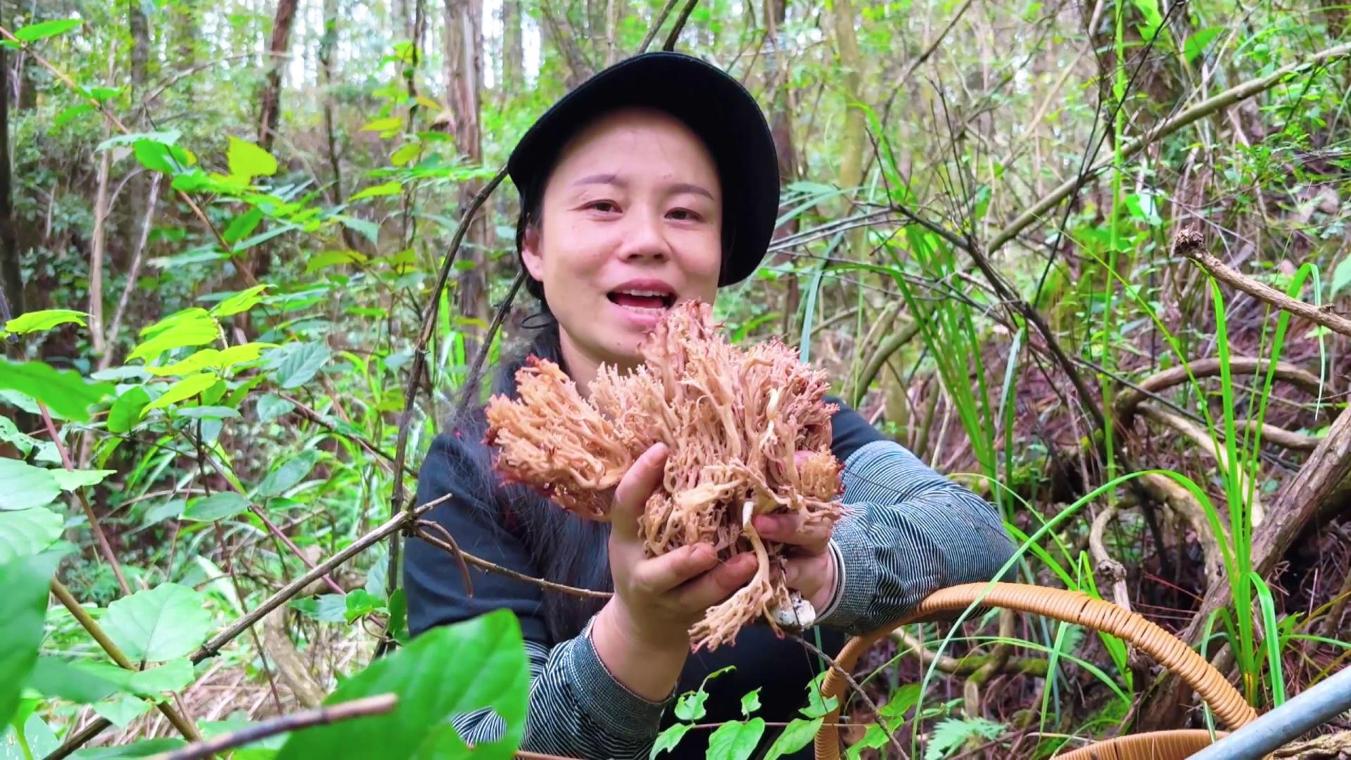 媳妇独自去深山捡菌，老公急忙进山寻找，没想到收获意外惊喜