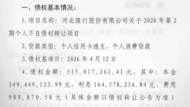 合计7.31亿个贷不良集中挂牌！河北银行加速出清存量坏账，去年零售贷款规模大幅压降超两成