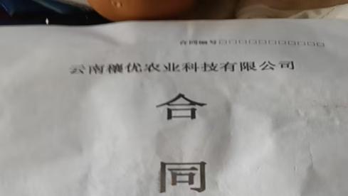 云南穰优农业科技有限公司被指虚假招商 种植户遭遇合同陷阱血本无归