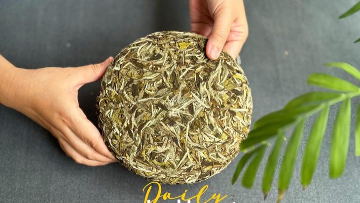 优质白茶不怕闷，也不怕开水烫，是真的吗？真相来了