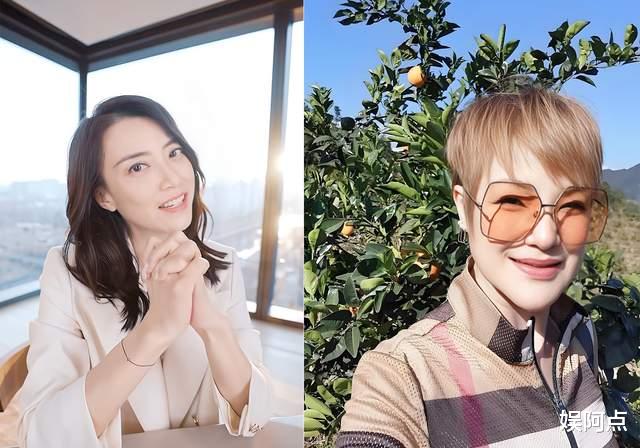 礼物刷不停！马蹄露直播间痛哭，感谢网友支持！霍汶希好感度没了