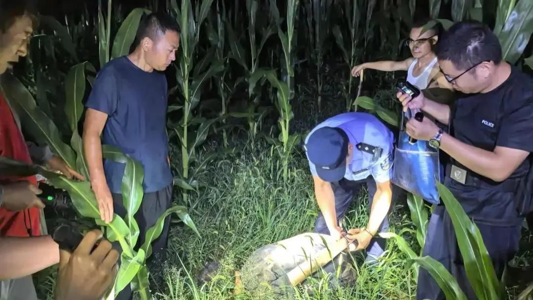 2024年两摸金校尉深夜探桥陵，盗洞挖到一半被当场围堵！