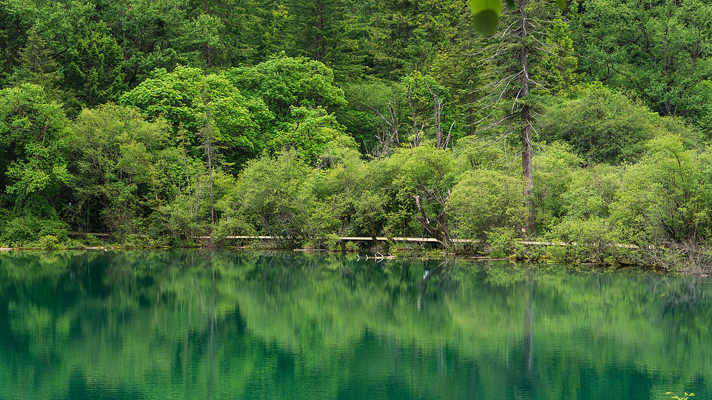 给3 - 6岁孩子介绍清明踏青要注意什么？
