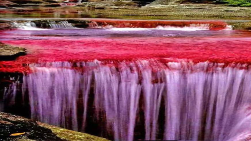 南极惊现“血瀑布”！极地冰盖下的红色秘密