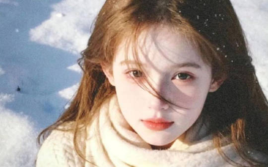 打到北极圈了，你让我继承皇位？