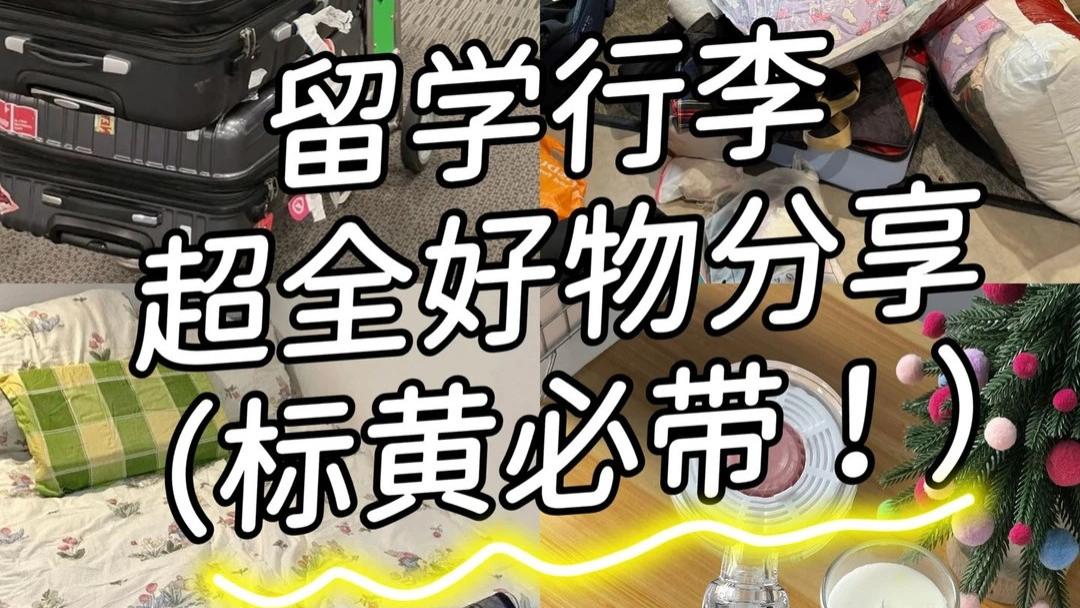 留子天崩开局，全因没带这些