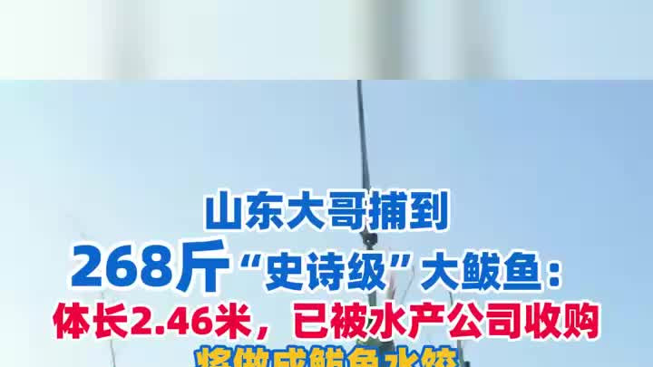 男子捕到268斤“史诗级”大鲅鱼，长2.46米：已被水产公司收购
