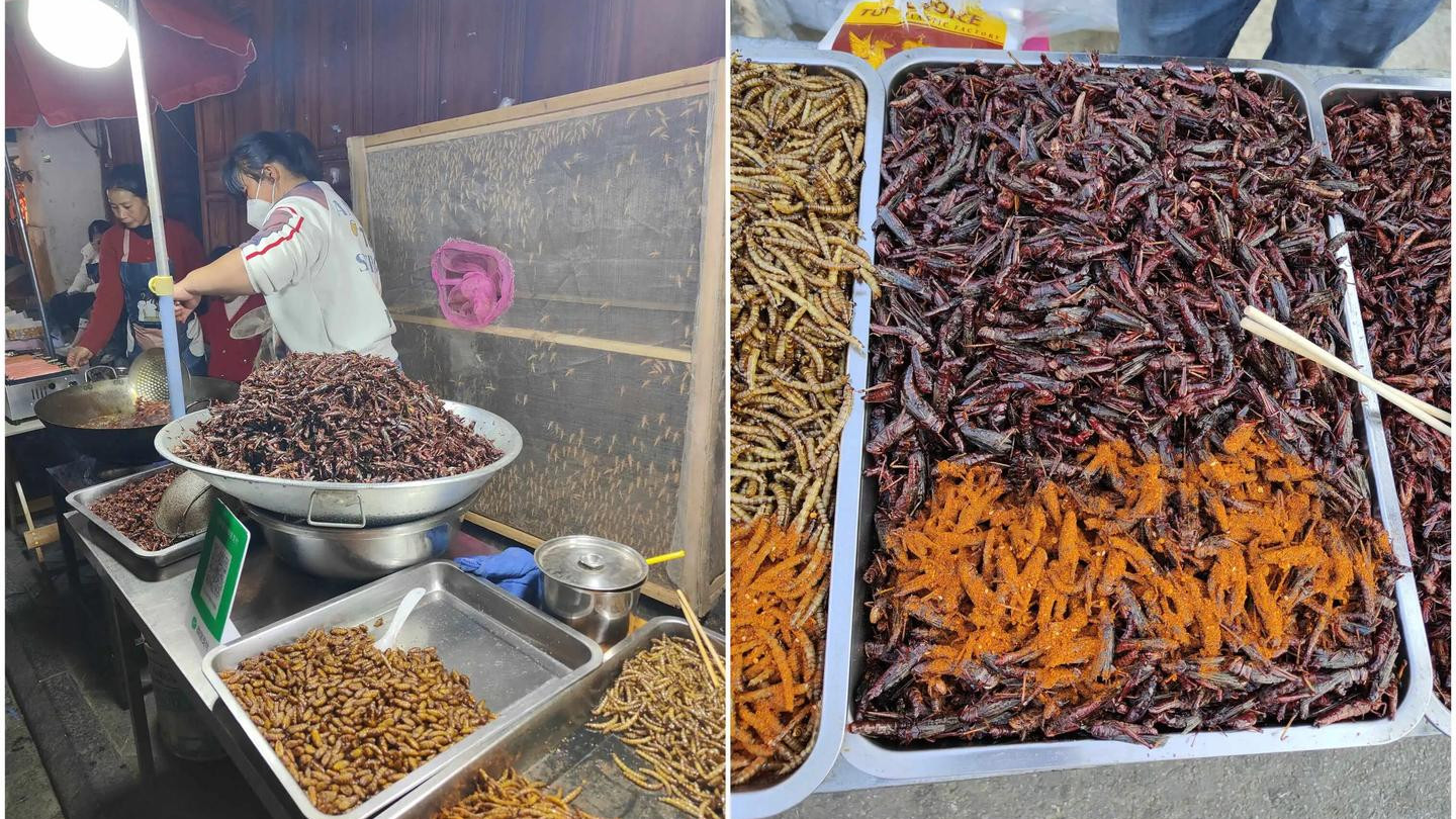 别被攻略骗！过年云南半月4人共花 6100的欢乐游记3-保山最新鲜蚂蚱