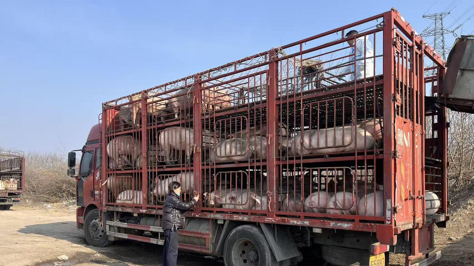 守源头 严检疫 双措并举保民生