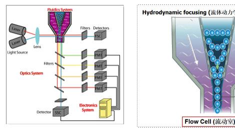细胞分选技术进展与应用