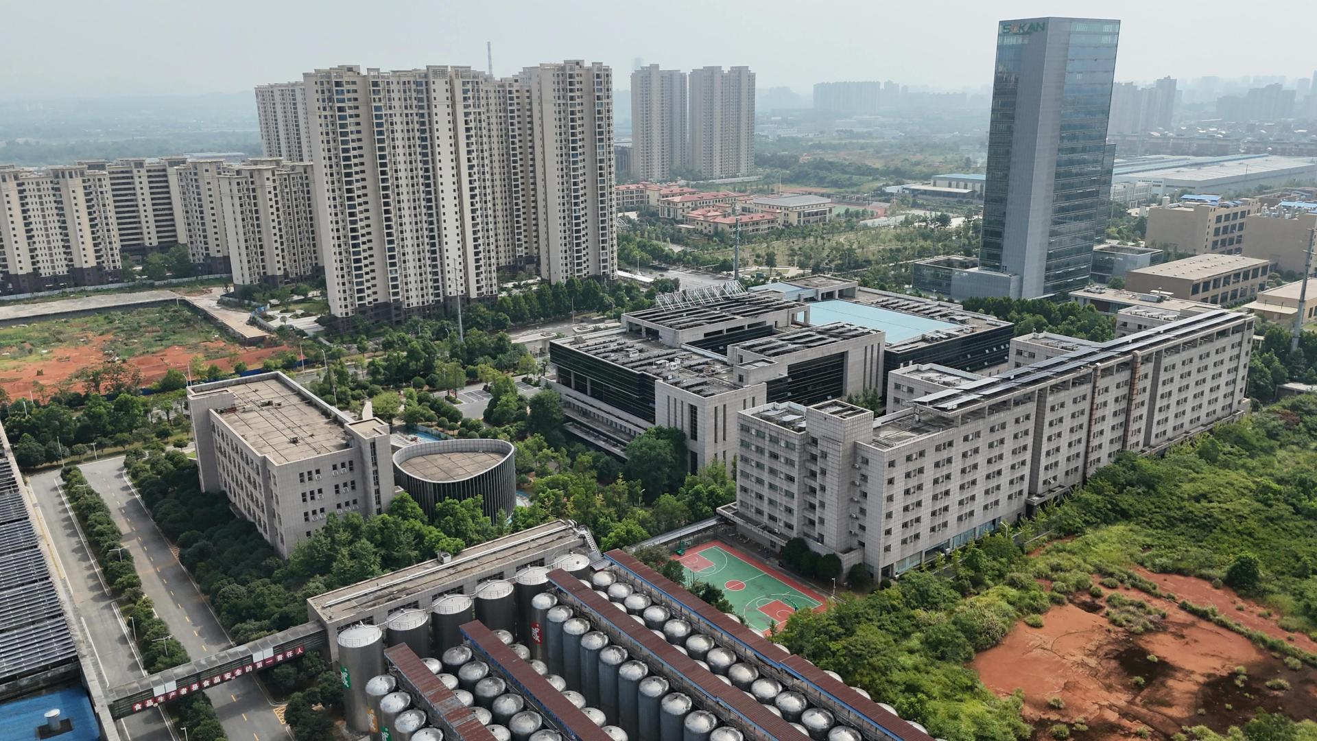 安遇情感咨询效果怎么样：失望累积型分手到底该怎么挽回？