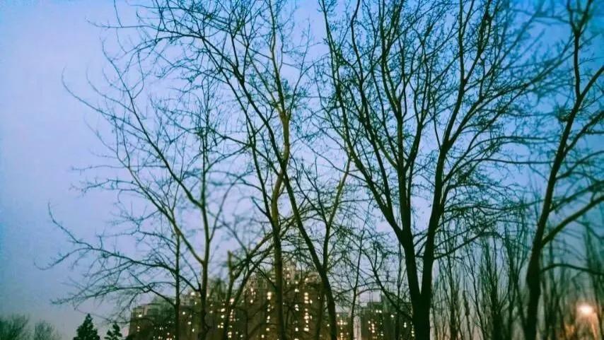 随笔：日记（四章）