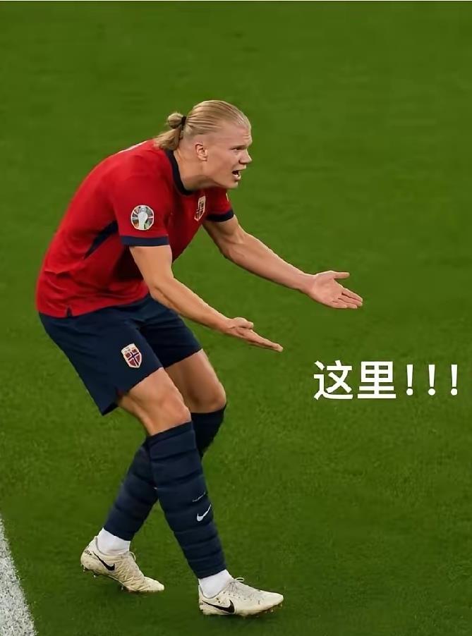 挪英大战之前俺曾预测挪威有八成胜算，等于几乎是没有悬念。

然而俺错了。错在