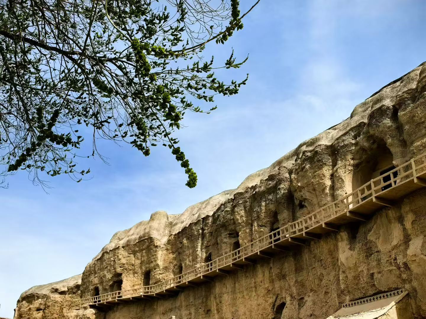 甘肃敦煌莫高窟｜新手出游攻略！