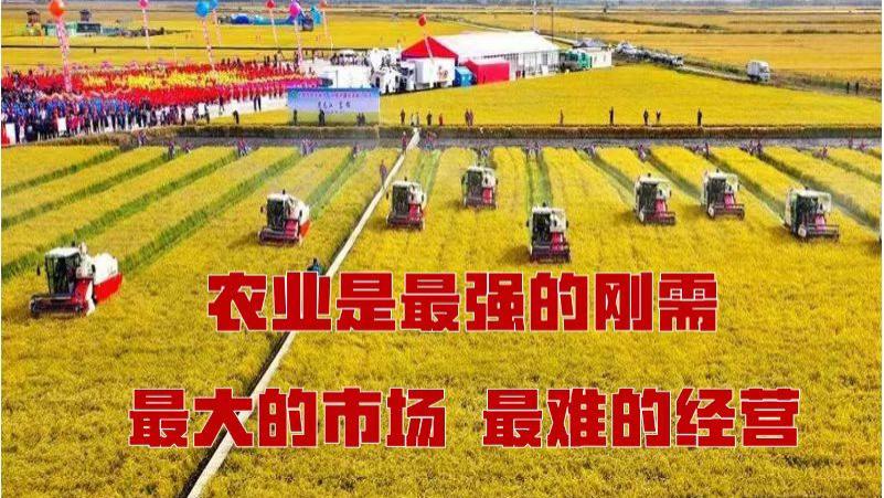 蓝图与冲锋：2026年“三农”工作的时效与行动指南