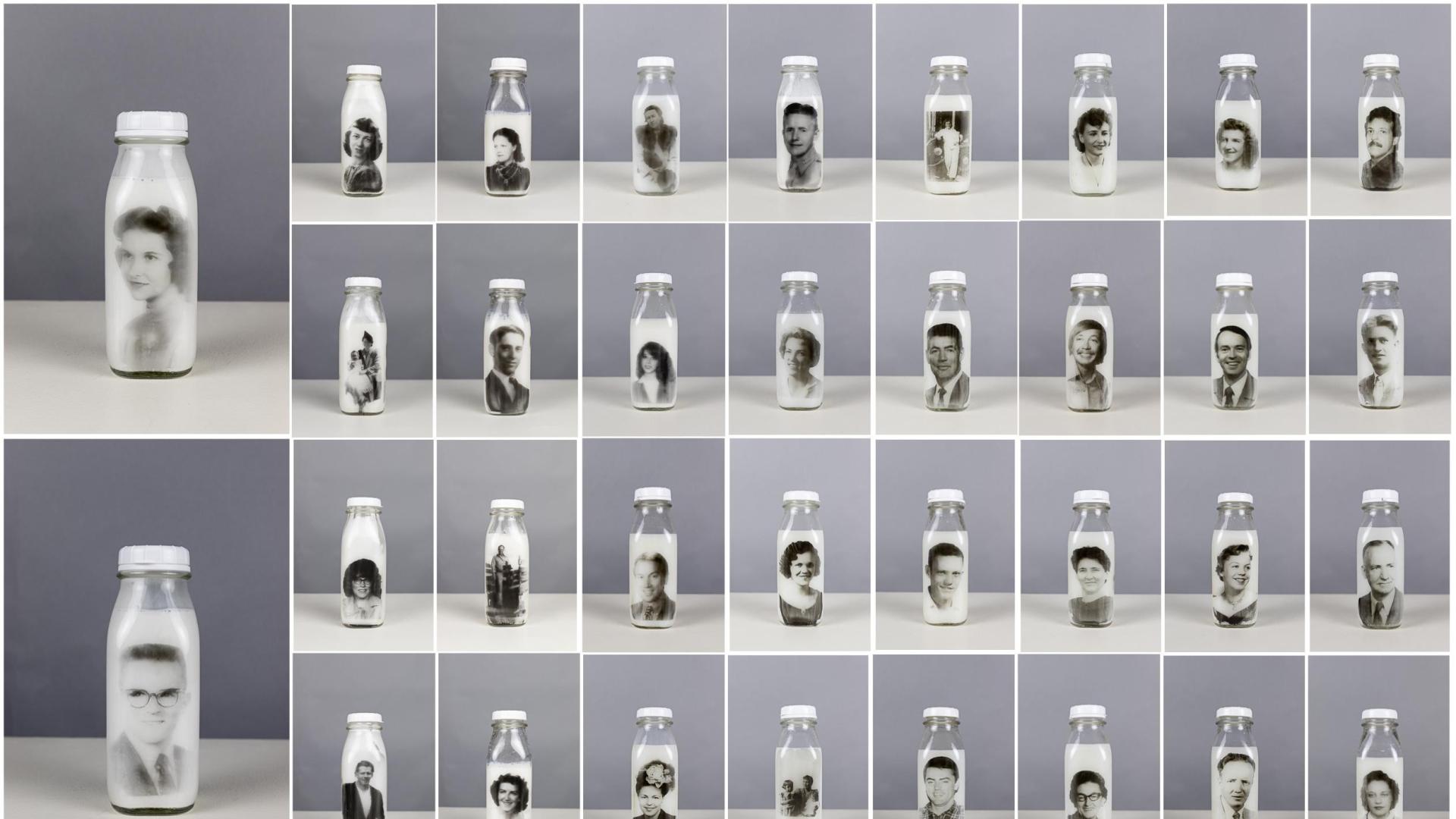 索尼世界摄影奖2026获奖作品（4）