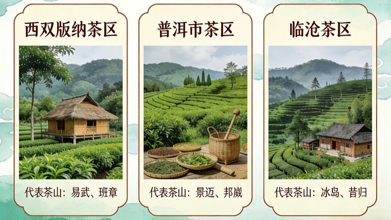 云南普洱茶产区主要有哪些？