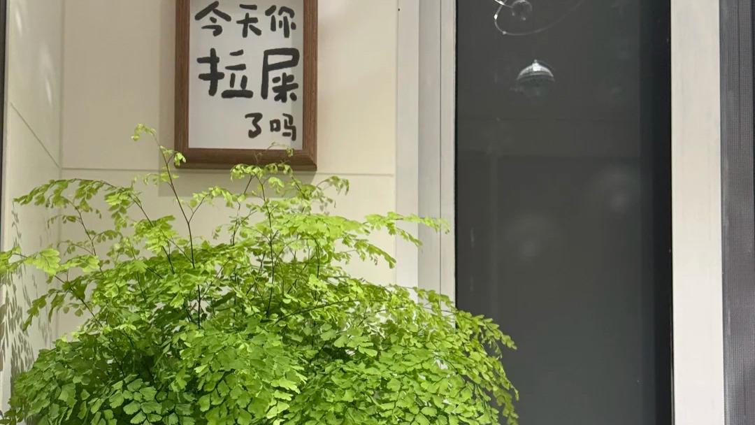 卫生间总有一股味？摆上这5种花，吸湿除味，进门就闻见清香