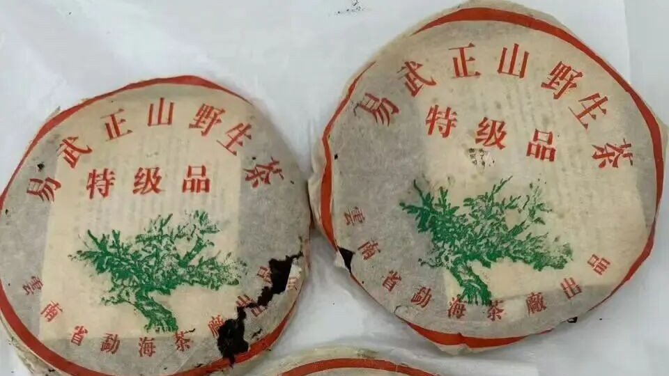 灰绳绿大树与301绿大树，版面相似，核心差异在哪？