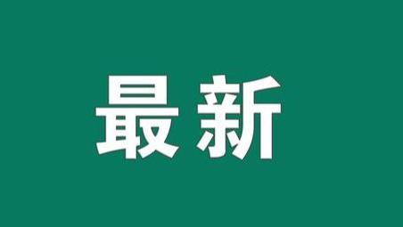 喜报｜邓州市美术家协会、邓州市书法家协会六位作者作品入选省展！