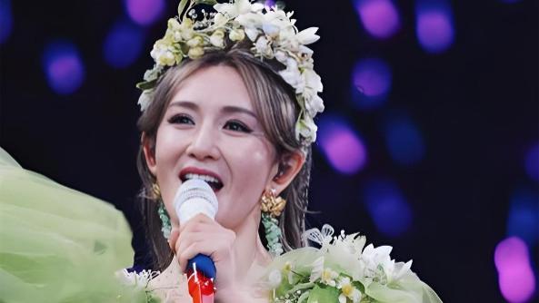 谢娜演唱会亏本争议，被知情人锤得明明白白