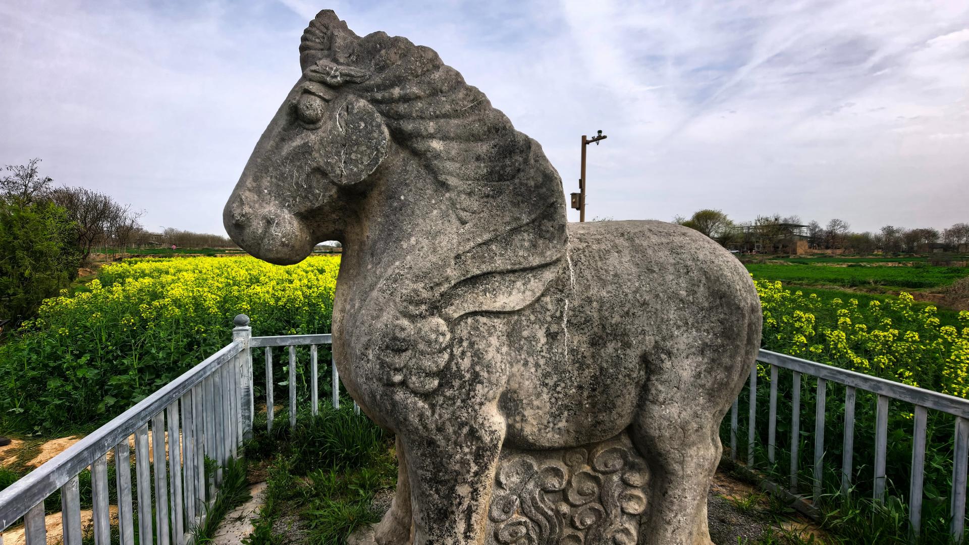 他在位6年，拆了4600座庙，逼26万僧尼还俗，平定藩镇，击败回鹘